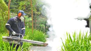 Reliable Sawgrass, FL Pest Control Solutions